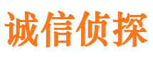 方城市侦探公司